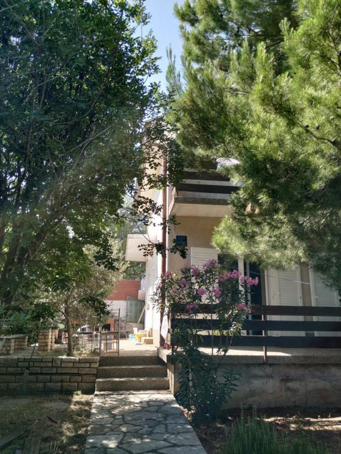 Danica Holiday House Cesarica Luaran gambar