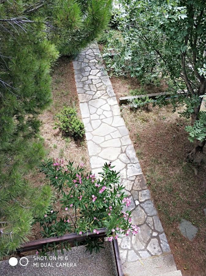 Danica Holiday House Cesarica Luaran gambar